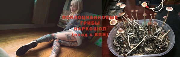 ПСИЛОЦИБИНОВЫЕ ГРИБЫ Михайловка