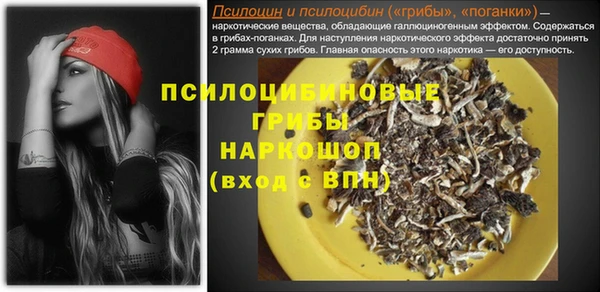 гашик Аркадак