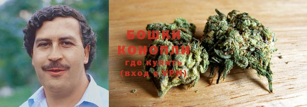 ГАЛЛЮЦИНОГЕННЫЕ ГРИБЫ Арсеньев